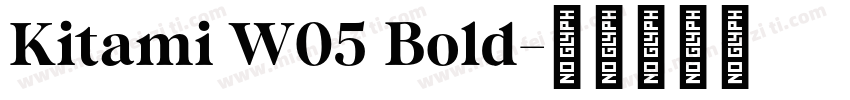 Kitami W05 Bold字体转换